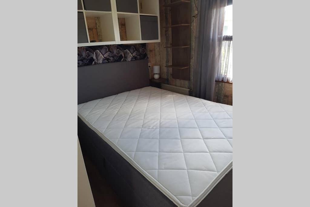 Stuyvesanthof Scheldeoord Chalet 710 Baarland Екстериор снимка